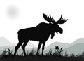 One mighty moose stands, isolated images Royalty Free Stock Photo